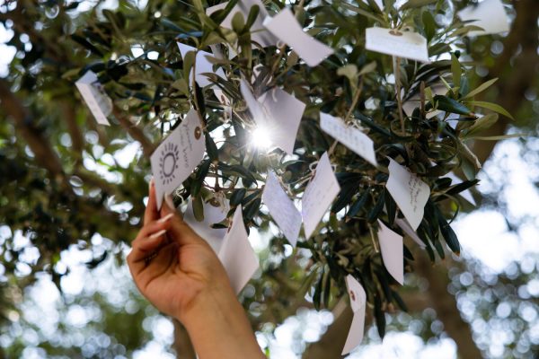 1557644 wk yoko ono wish trees klb 101
