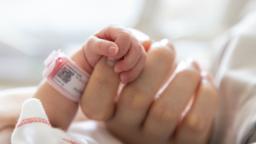 221114204225 newborn baby hand stock hp video