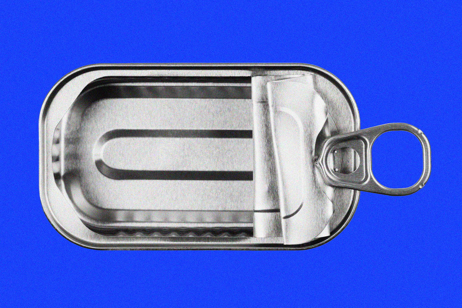 260827 sardines missing cs ca446f
