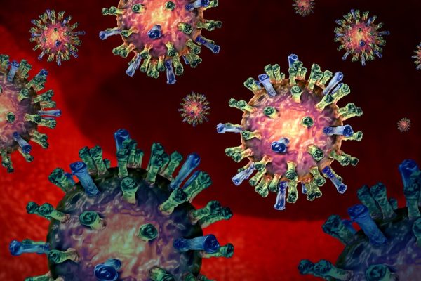 Measles virus
