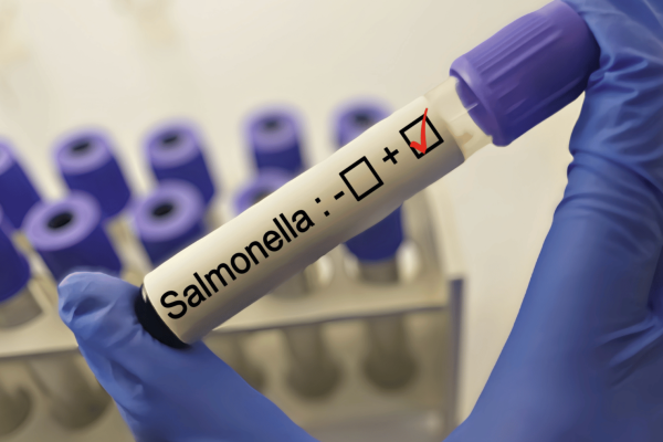 Salmonella test tube