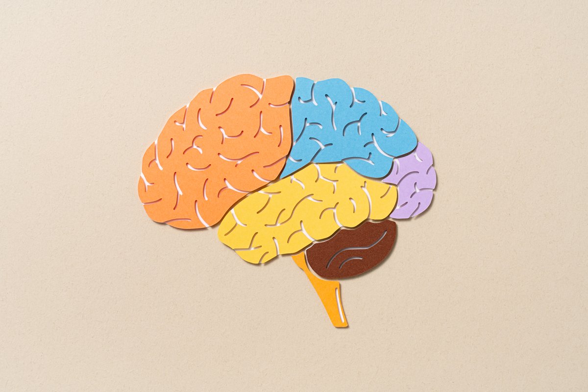 brain illustration