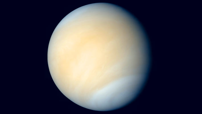 image 2376f Venus Metal Snow