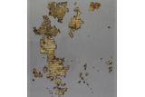 roman law book t