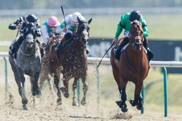 skysports lingfield racing 6815544