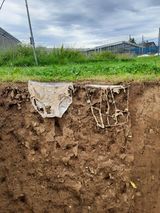 underwear soil cross section decomposition comparison t