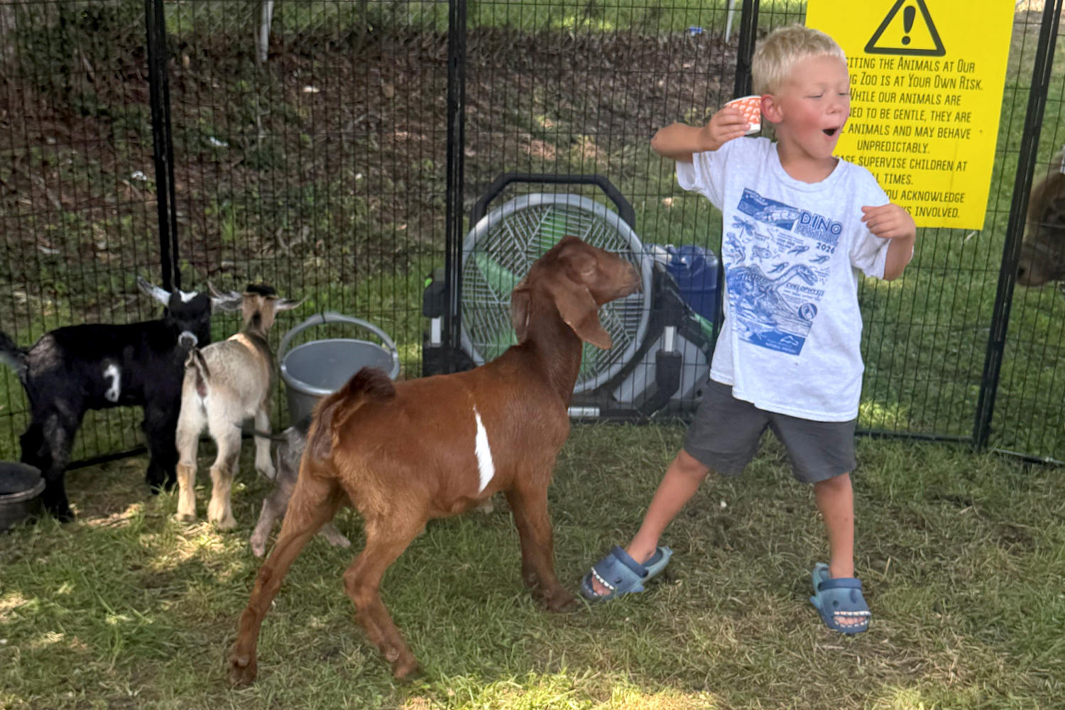 260830 rabid goat mass vaccines north carolina bf 1247 494833