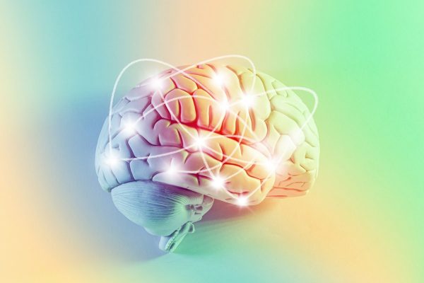 Brain energy