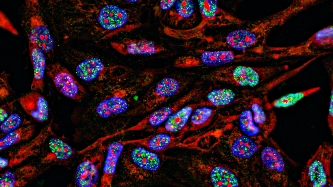 GettyImages 1184711342