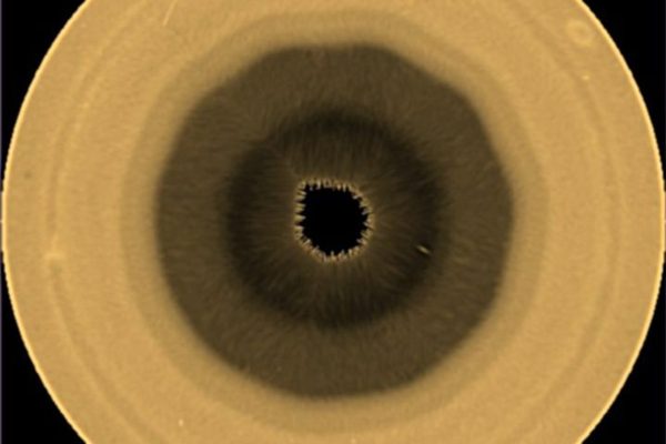 Saturn decagon