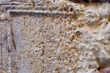 ancient latin inscriptions rock t