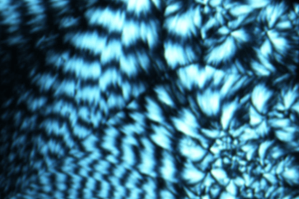 dna storage device
