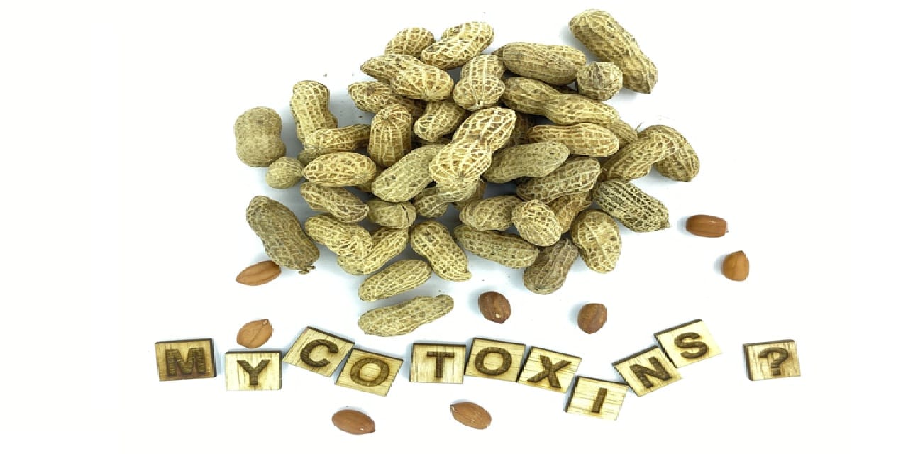 dreamstime mycotoxins nuts