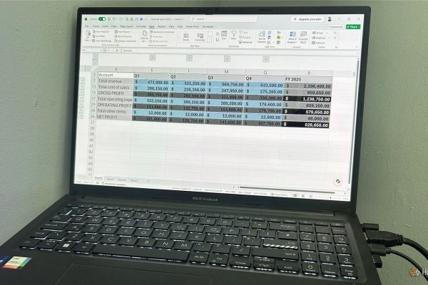 excel report collapsed with group controls visible and visible cells selected using alt on a laptop screen