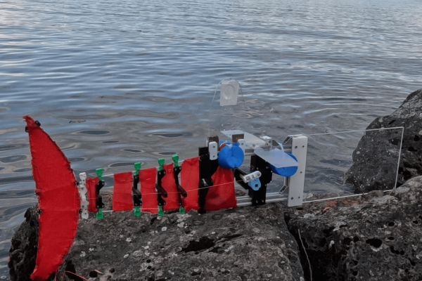 fish robot