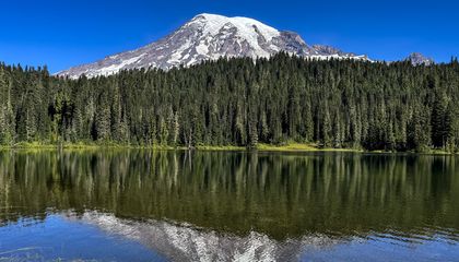 gettyimages 2169784114