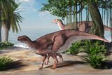 iguanason t
