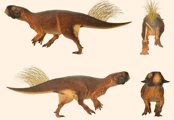 image 4197 1 Psittacosaurus