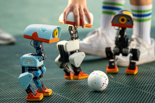 microduck kickabout