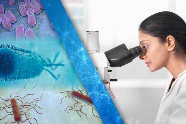 outbreak investigation pathogens scientist