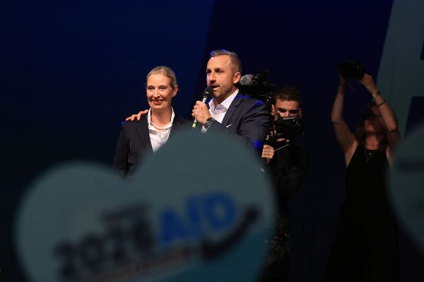 saxony anhalt afd