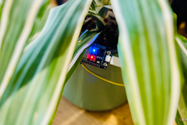the blue led flashing on an esp32 connected to a soil moisture sensor in a plant pot
