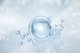 water molecules t